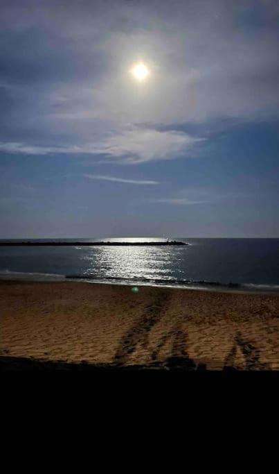 Studio Climatise Proche De Montpellier Et Des Plages Villeneuve-lès-Maguelonne Exteriér fotografie